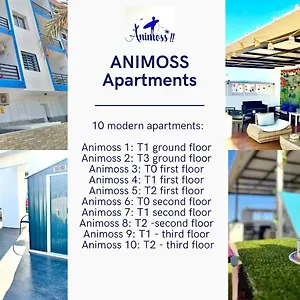 Appartement Animoss! - 10 Modern Near Center &, Santa Maria